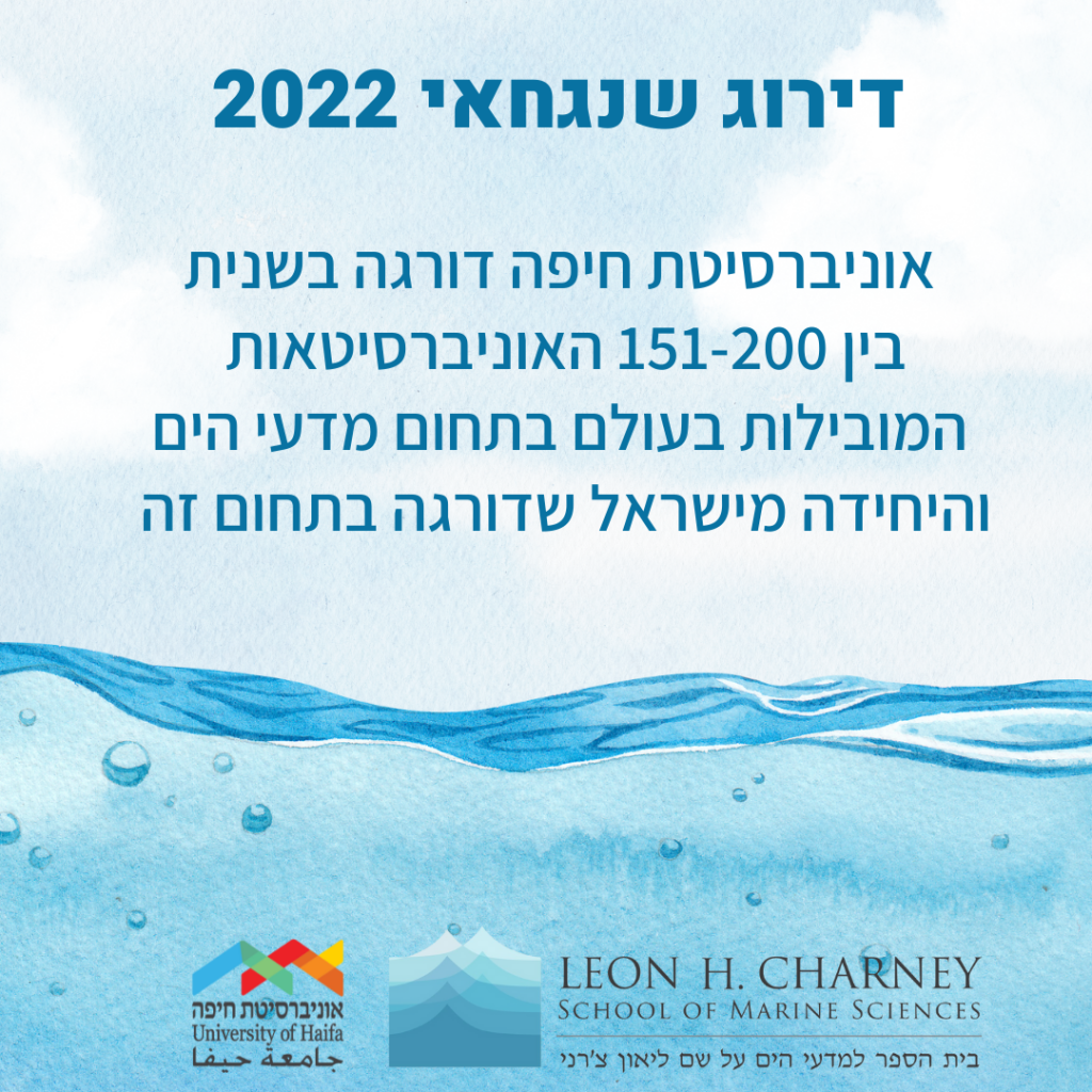 דירוש שנגחאי 2022