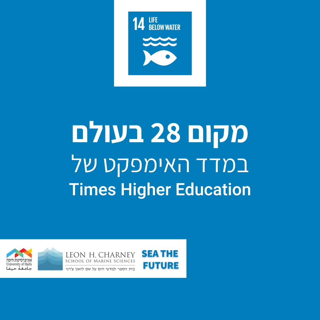 Read more about the article מקום 28 בעולם במדד האימפקט של Times Higher Education