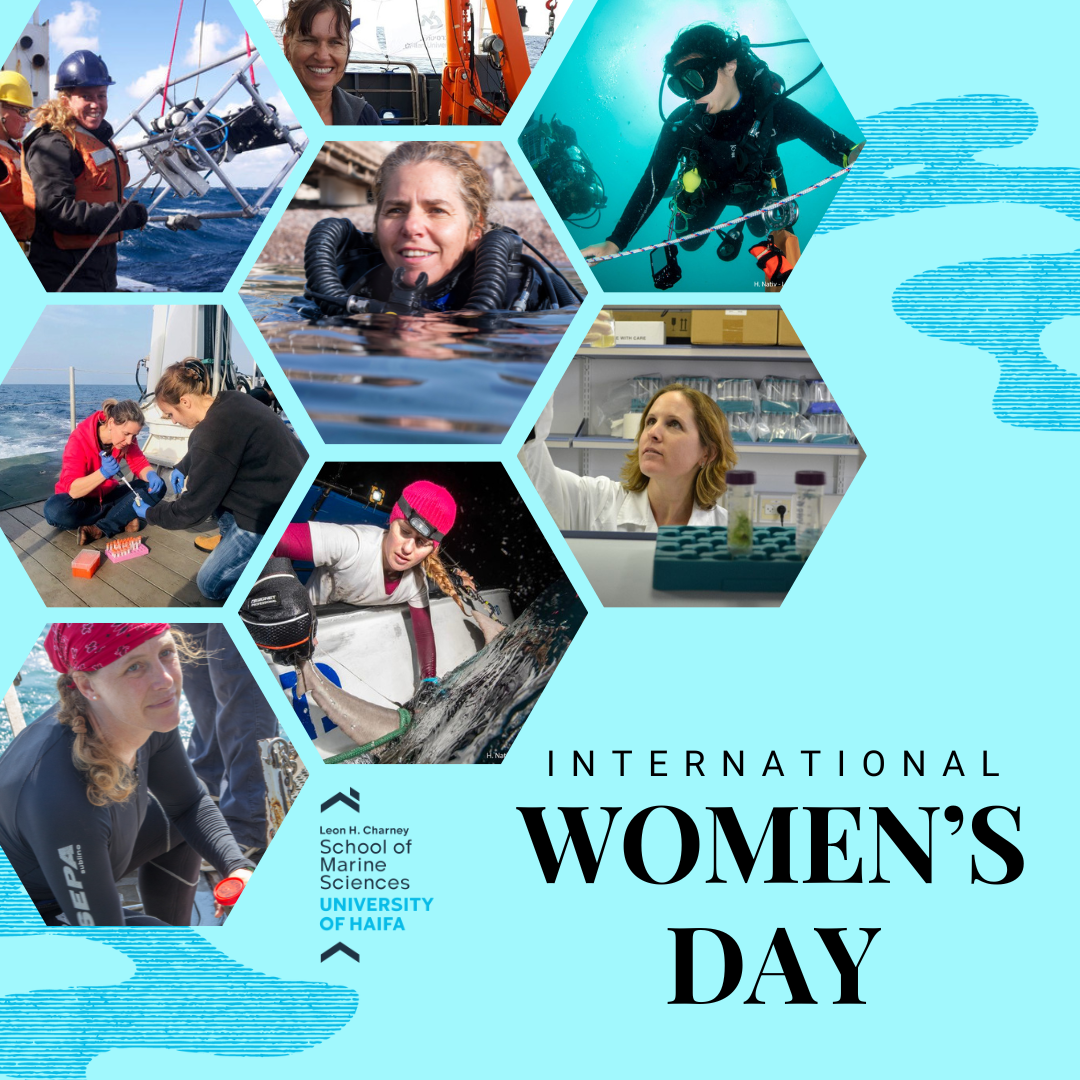 Read more about the article Celebrating Women in Marine Science: A Commitment to Equality and Opportunity