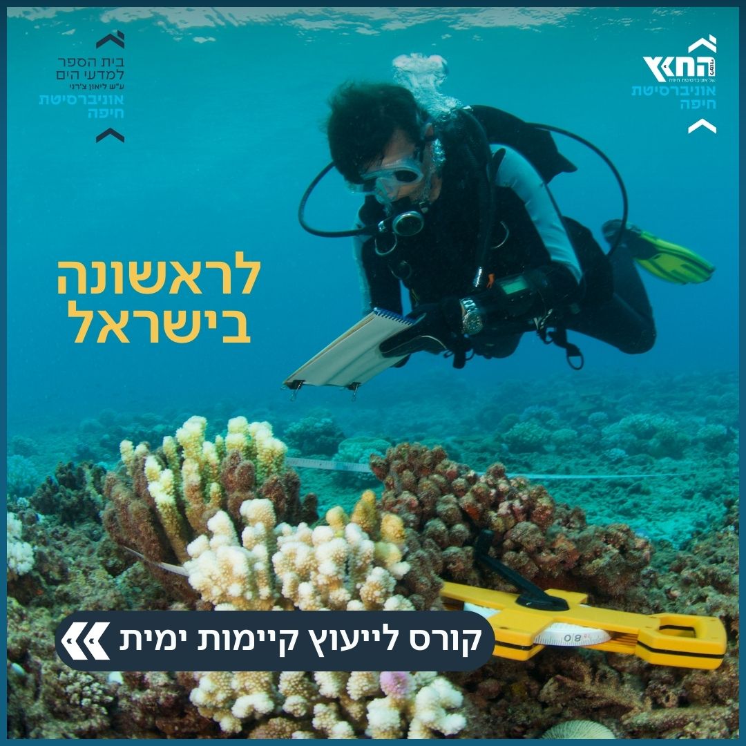 Read more about the article לראשונה בישראל – קורס לייעוץ קיימות ימית!
