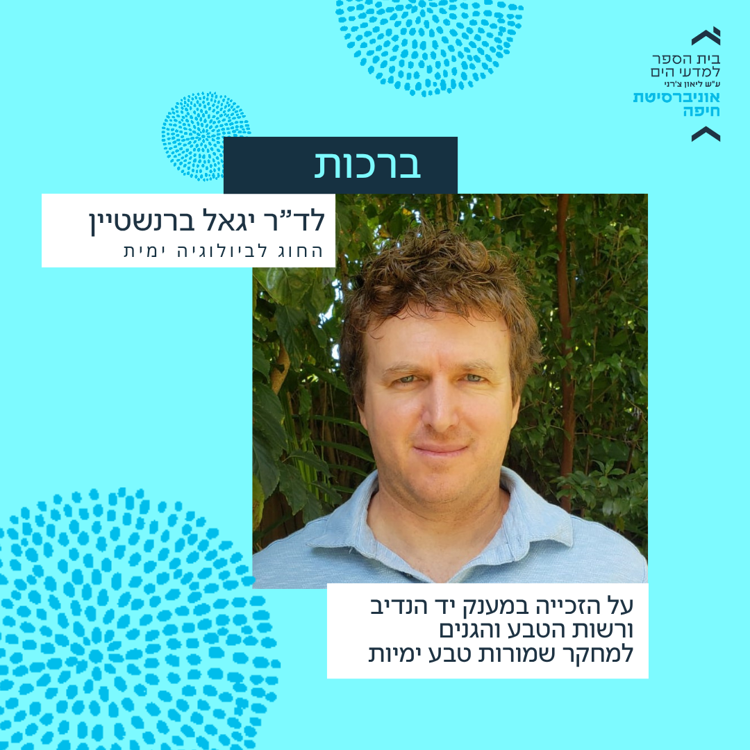יגאל ברנשטיין עברית
